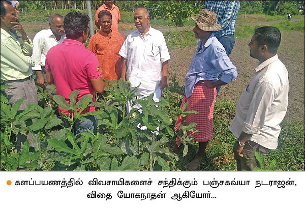 நீல் தீவு... - இந்தியாவின் முதல் இயற்கை விவசாயத் தீவு!