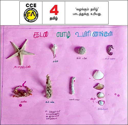எஃப்.ஏ பக்கங்கள்