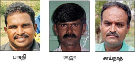 மாம்பழங்கள் பற்றிய கேள்விகளும்... பதில்களும்!