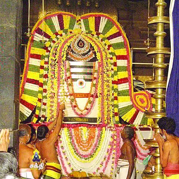 செல்வம், கல்வி, ஞானம் அருளும் 14 சிவ ...