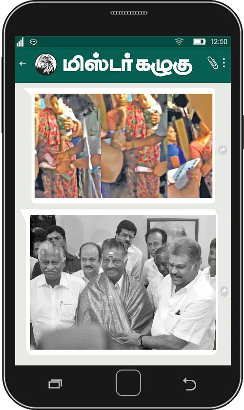 மிஸ்டர் கழுகு