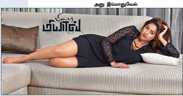 மிஸ்டர் மியாவ்