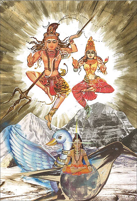 சித்தம்... சிவம்... சாகசம்! - 29