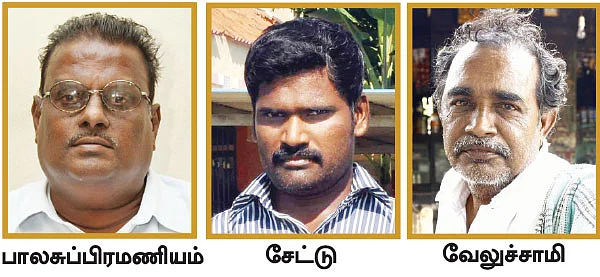 சந்தைக்கு வராத மாடுகள் சாகத்தான் போகுது!