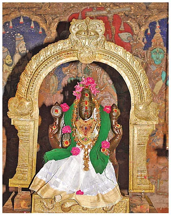 அரிய சுவடிகள்...அற்புதமான ஓவியங்கள் !