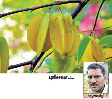 நீங்கள் கேட்டவை