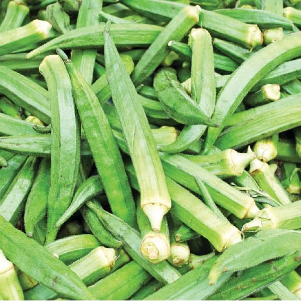 வெண்டைக்காய்... மகசூலைக் கூட்டும் மந்திரங்கள்!