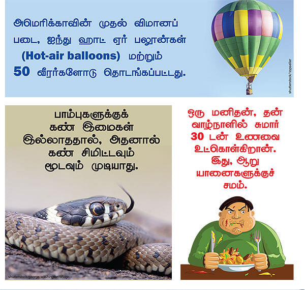 சூப்பர் 6