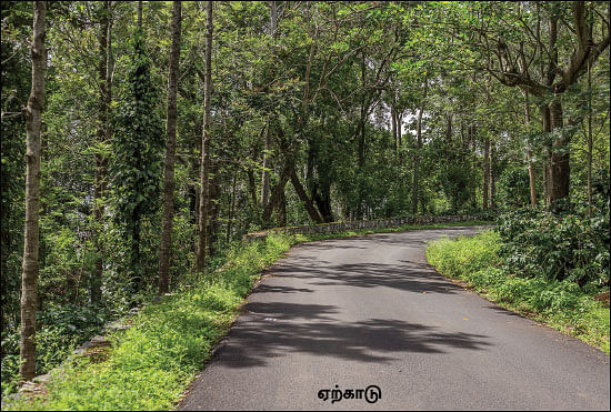 சேலம் 150 - இன்ஃபோ புக்