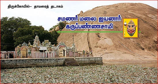 எல்லை சாமிகள்!