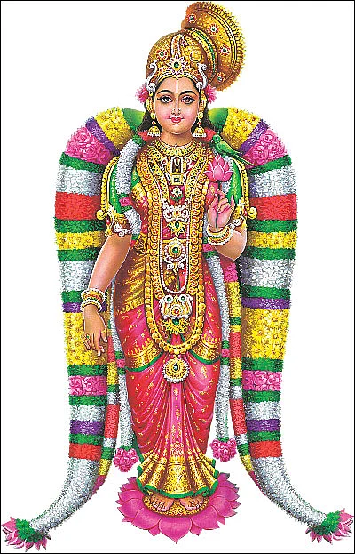 ஆண்டாள் தரிசனம்!