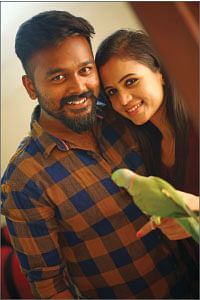 மிஸ்டர் மியாவ்