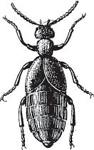 வீரயுக நாயகன் வேள்பாரி - 12