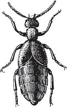 வீரயுக நாயகன் வேள்பாரி - 12