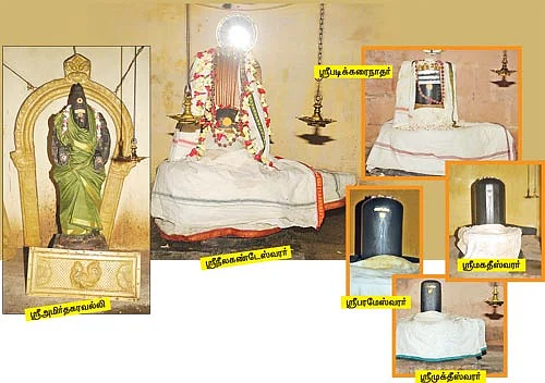 ஆரோக்கியம் அருளும் ஆலய விருட்சங்கள்!