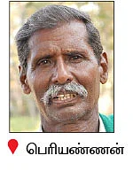 'வீரிய'த்தை விஞ்சும் 'பாரம்பரியம்'... மகத்தான மகசூல் தரும் மாப்பிள்ளைச் சம்பா!