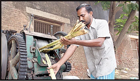 உணவு யுத்தம்!