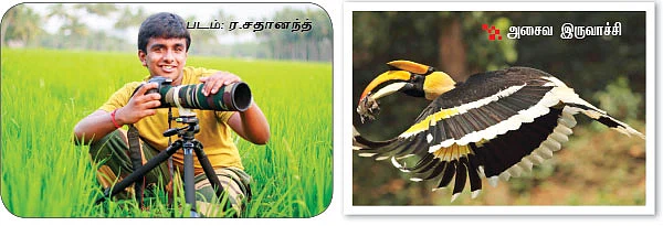 பச்சைத் தவளையுடன் ஒரு முழு இரவு!