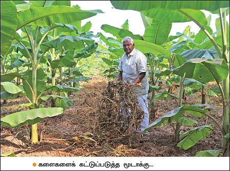 வேஸ்ட் டீகம்போஸர்... அங்கக விவசாயிகளின் அமுதசுரபி!