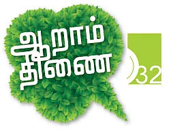 ஆறாம் திணை