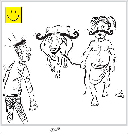 Cartoon jokes