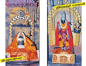 ஆரோக்கியம் அருளும் ஆலய விருட்சங்கள்!