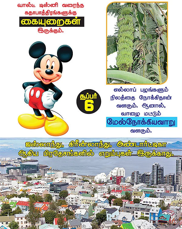 சூப்பர் 6