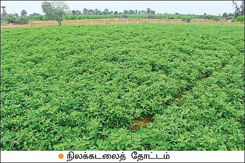 பூங்கார் கொடுத்த பரிசு! - 1 ஏக்கர்... 90 நாள்கள்... 1,813 கிலோ நெல் மகசூல்!