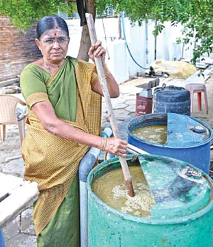 5 ஏக்கர் நிலம்... ரூ. 6 லட்சம் வருமானம் - கீரை, காய்கறிகள், வாழை, தென்னை...