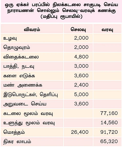 இனிப்பான லாபம் கொடுக்கும் ‘இயற்கை’ நிலக்கடலை + ஊடுபயிர்கள்...