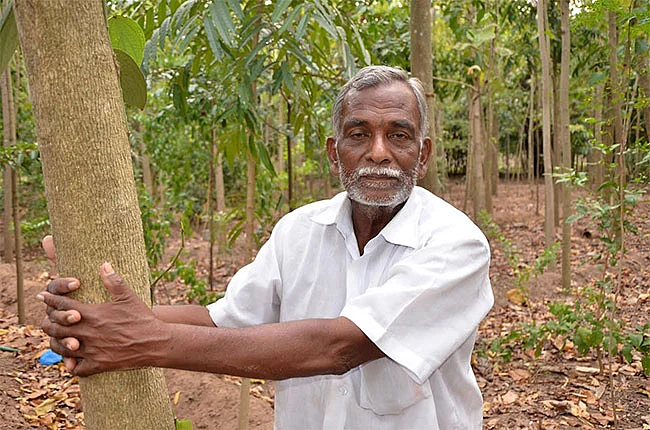 பத்து ஏக்கரில் பசுமைத்தோட்டம்... - அழிக்கத் துடிக்கும் எமன்!