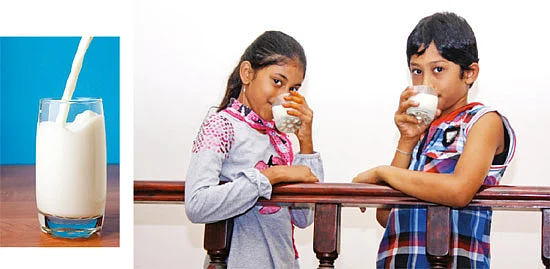 ''தண்ணிப்பால்தான் நல்ல பால்!''