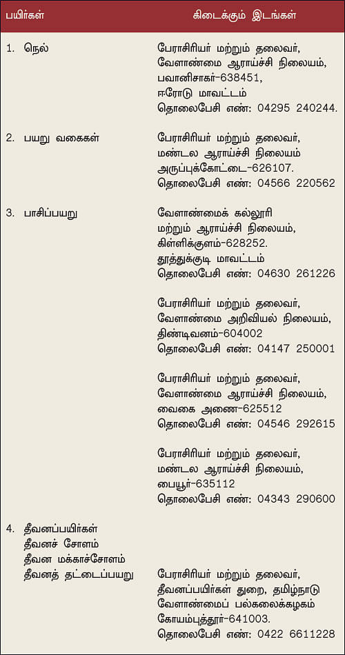 நீங்கள் கேட்டவை: தென்னங்கன்றுகளைக் காக்கும் தாழம்பூச் செடி!