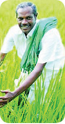 குட்பை 2018 - இயற்கை