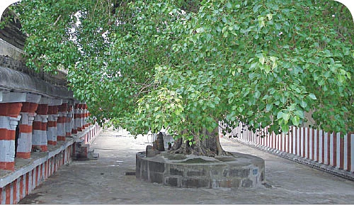 ஆன்மிக துளிகள்...