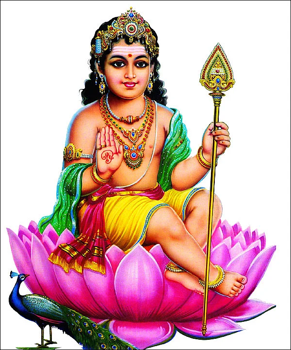 தாமரை முருகன்