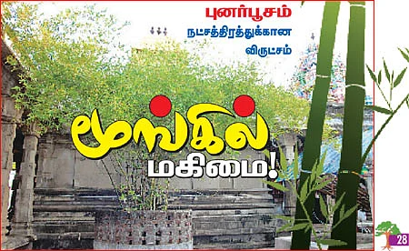 ஆரோக்கியம் அருளும் ஆலய விருட்சங்கள்!