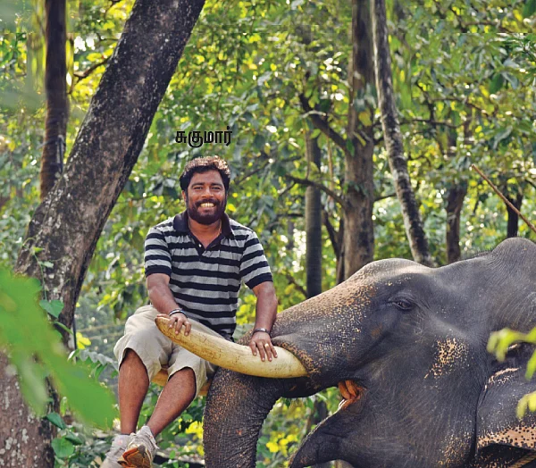 அருவி, மழை, காத்து, ஆனந்தம்!