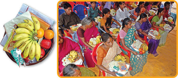 'தானே' துயர் துடைத்தோம்!