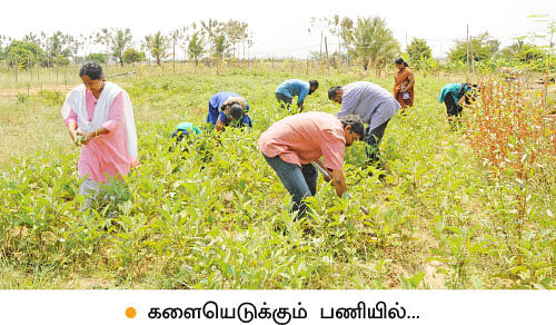 ’ஒரு நாள் விவசாயி!’