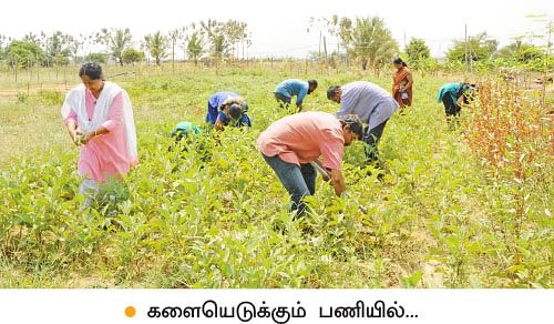 ’ஒரு நாள் விவசாயி!’