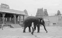 இதோ... எந்தன் தெய்வம்! - 40