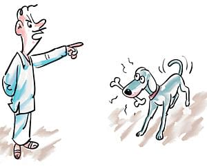 வானம் தொடுவோம்!