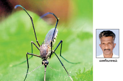 நீங்கள் கேட்டவை