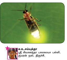 சுட்டி நியூஸ்