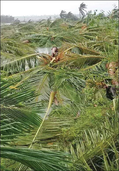 திண்டுக்கல் பூட்டை உடைத்த கஜா!