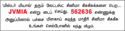மிஸ்டர் மியாவ்
