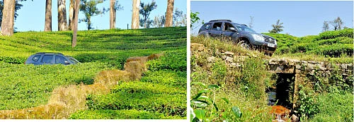 ரீடர்ஸ் கிரேட் எஸ்கேப்