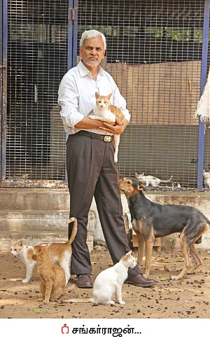 உயிர்களோடு உறவாடும் புளூ கிராஸ்!