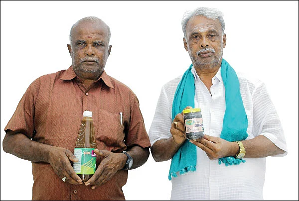 கொஞ்சம் ப்ளஸ்... நிறைய லாபம்! - தித்திக்கும் லாபம் தரும் திராட்சை!